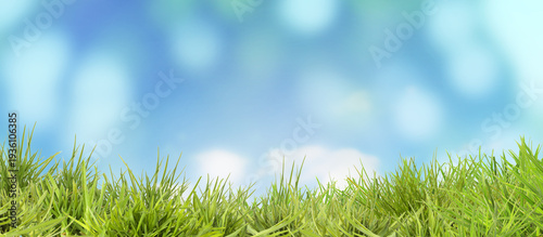 Panel kuchenny z motywem Lush green grass against blurred blue background. Banner design