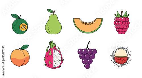 Colorful fruit set illustration