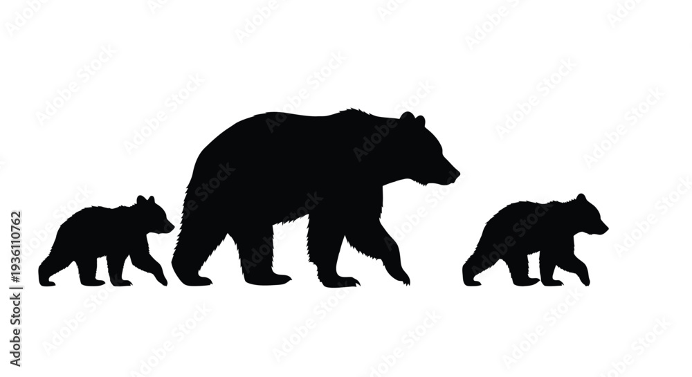 Fototapeta premium A mother bear leads two cubs across a white background silhouette