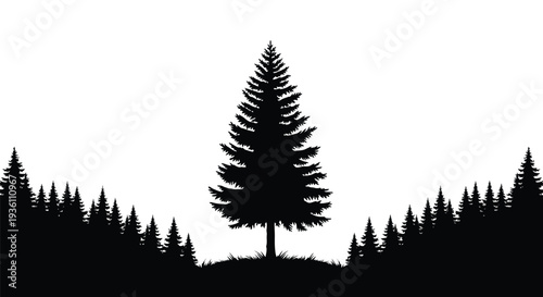 A stark black silhouette of evergreen trees against a white background