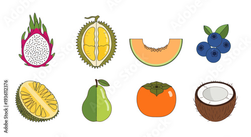 Illustration of assorted tropical fruits