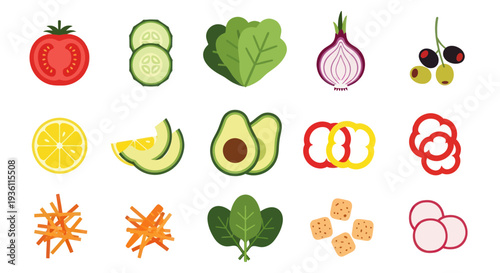 Fresh salad ingredients vector illustration