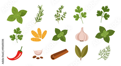 Fresh herbs and spices on white background