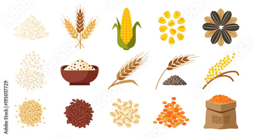 Variety of grain and seed illustrations