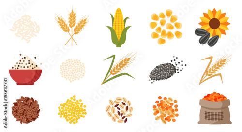 Variety of grains and seeds illustration