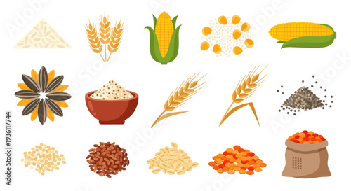 Variety of grains and seeds illustration
