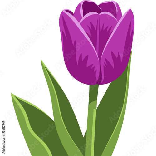 A vibrant purple tulip blooms against a clean white background. ?Bloom Power? text adds a touch of modern elegance. Perfect for beauty, growth, and floral themes.