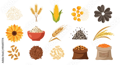 Variety of grains and seeds isolated illustration