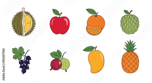 Various colorful fruit illustrations on white
