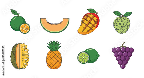 Various colorful fruits isolated on white