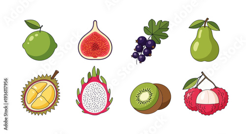 Various colorful fruits on white background