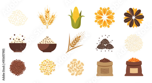 Various grains and seeds illustrations