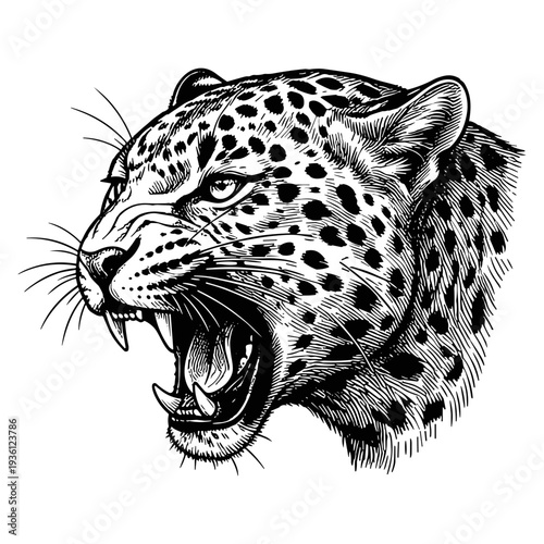 Leopard head logotype or mascot hand drawn ink sketch. Engraving style vector illustration.