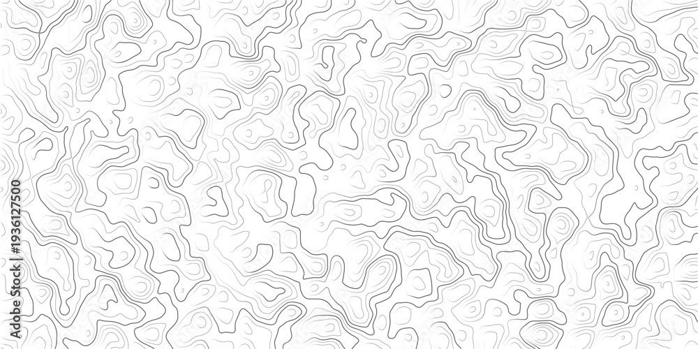 Obraz premium Topographic map contour lines pattern on white background abstract geographic texture