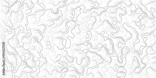 Topographic map contour lines pattern on white background  abstract geographic texture