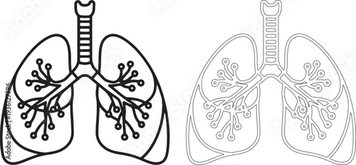 Black and white outline of human lungs with bronchi