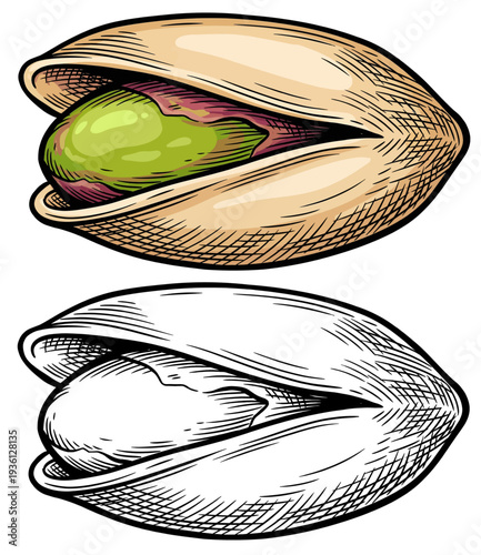 Close-up illustration of open and closed pistachio shells revealing texture and color from a top-down viewpoint