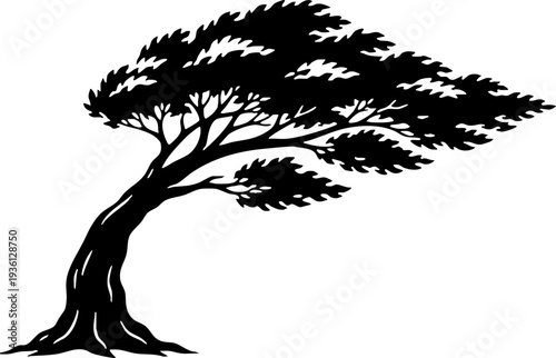 Black and white silhouette of a windswept tree on white background