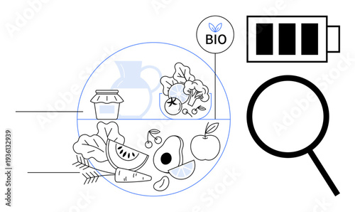 Diverse organic foods, bio label, battery indicating energy, magnifying glass suggesting research or focus. Ideal for sustainability, nutrition, organic produce, energy, health research simple flat