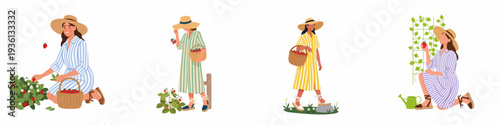 Summer strawberry harvest: collection of illustrations showing women in hats gathering fresh fruit in their gardens.