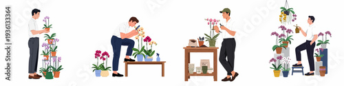 Men engaging in orchid care activities: watering, pruning, examining, and holding potted orchids, showcasing dedication to plant cultivation and gardening.