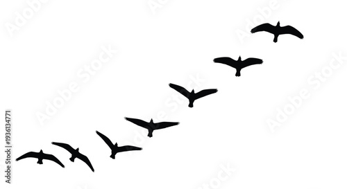 Illustration of a flock of birds flying in formation in a diagonal line