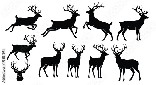Illustration of collection of deer silhouettes in various poses and antler styles