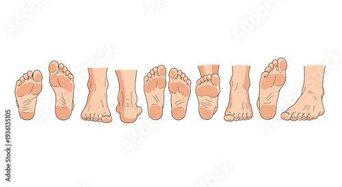 Illustration of collection of various human feet in different positions and angles for medical or educational purposes