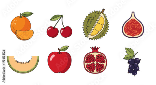 Assorted colorful fruits illustration