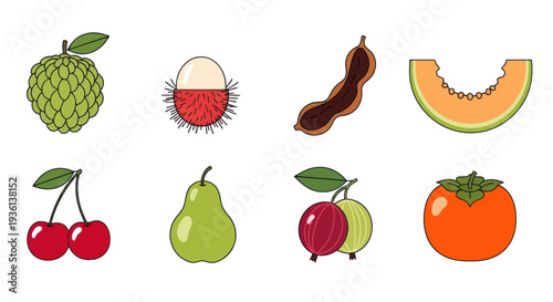 Assorted colorful tropical fruit collection