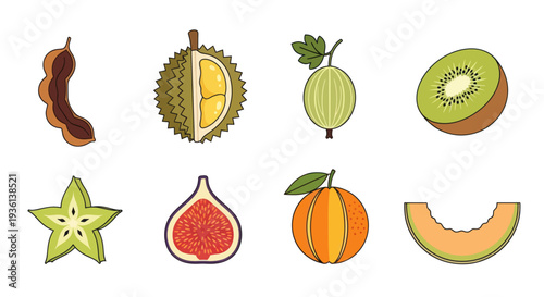 Assortment of exotic fruit illustrations