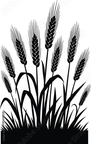 Wheat crop silhouette in black vector illustration featuring detailed grain ears and grass isolated on white background for agriculture and organic design