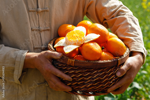 Fresh Bergamot Oranges in Basket - Wuming Orchard Harvest Guangxi China