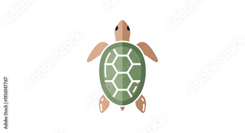 A minimalist illustration of a green sea turtle swimming from above, presented against a clean white background