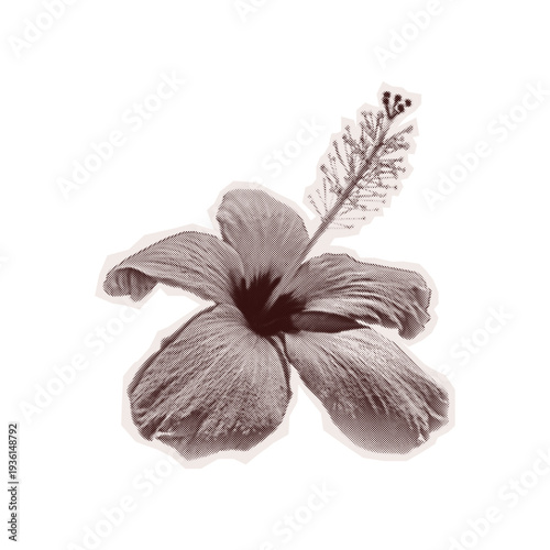 Trendy Halftone sticker hibiscus Grunge style transparent background. Isolated vector element Retro dotted texture, mimicking cutout collage of old newspaper. Torn paper Y2K Vintage Pop Art aesthetic.