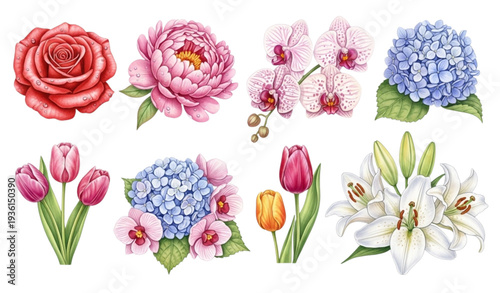 A colorful illustration of various flowers on a white background