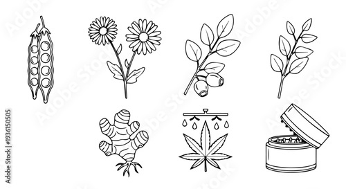 Set of 8 black and white line art vector icons featuring various plants, herbs, and natural products like cannabis, ginger, and pea pods, ideal for health, wellness