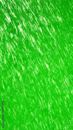Wallpaper Mural Dense Rain Sheet Overlay with water drops green screen background distortion, overlay, glitch, static noise, scan lines on black background, 4k animated video loop Torontodigital.ca