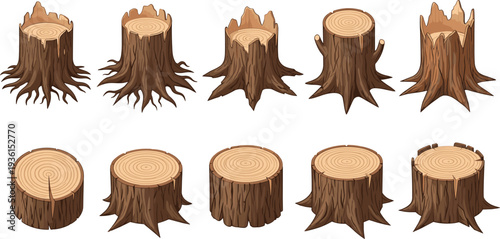Tree stump collection, cut wood trunk logs set, forest timber stump illustration, chopped tree base natural wooden texture vector