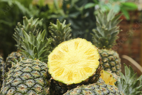 Fresh Tropical Pineapples with Cross Section Showing Sweet Yellow Flesh