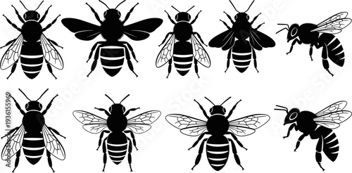 Set of bee silhouettes, black and white vector icons, honeybee flying and standing isolated on white background, insect logo collection, nature design elements for branding.
