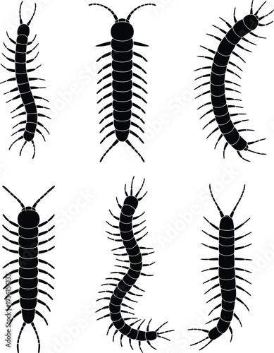 Set of centipede silhouettes vector illustration, black arthropod insect icons collection, detailed myriapod shapes, isolated pest design, white background, entomology concept