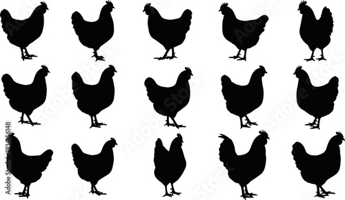 Set of chicken silhouettes in multiple poses, black hen and rooster shapes, farm poultry vector illustration isolated on white background