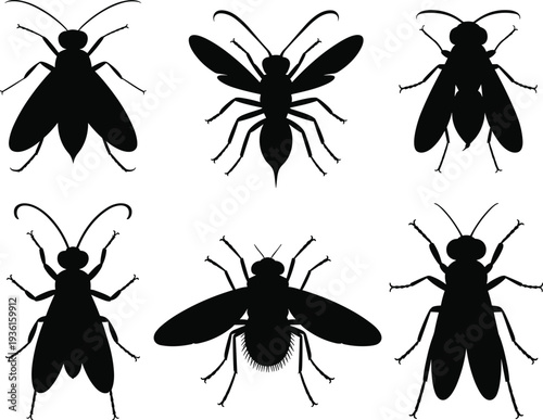 Set of insect silhouette vector icons, black flying bugs and beetles collection for entomology, pest control, nature, and wildlife illustration