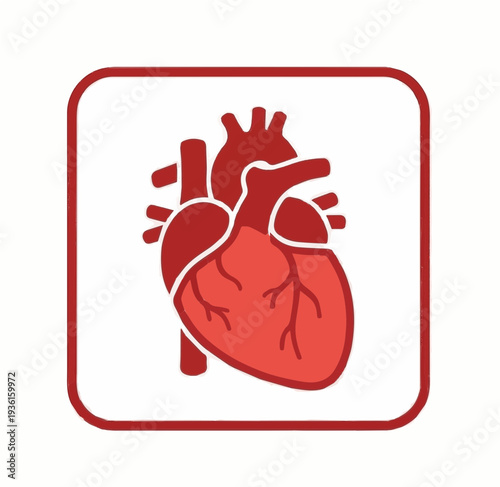 A red heart icon with a white background and red outline