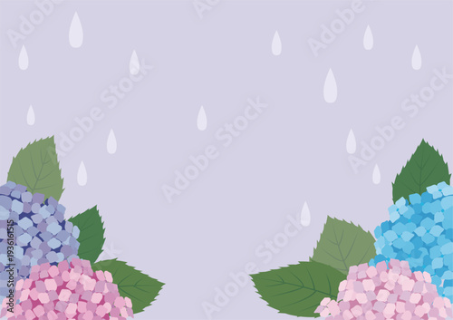 日本の梅雨：雨に濡れるあじさいのフレーム。6月の季節行事、雨の日、初夏のイメージ背景