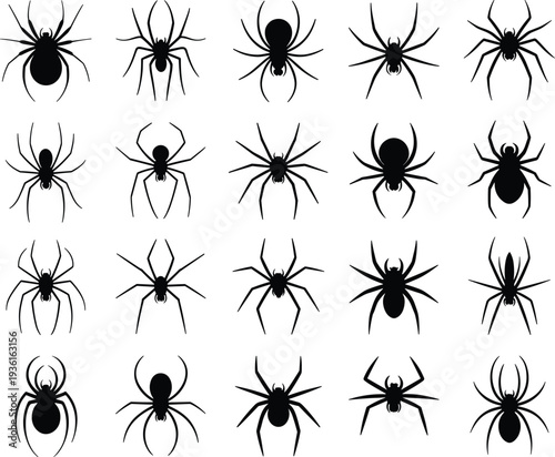 Set of spider silhouette vector illustration, black spider icons collection, creepy insect design elements, Halloween decoration symbols, horror and nature theme art