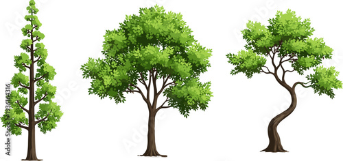 Set of Three Detailed Green Deciduous Trees with Distinct Shapes (Cypress, Rounded, Curved Trunk), Isolated Vector Elements for Landscape.