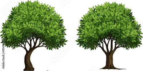 Set of Two Detailed Green Leafy Deciduous Trees with Full Crowns and Brown Trunks, Isolated Vector Elements for Landscape Design.
