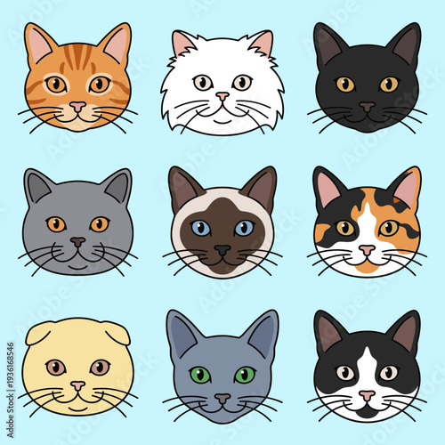 Cute cat faces collection featuring various breeds and colors like tabby calico and siamese for pet lovers and animal shelter related design projects